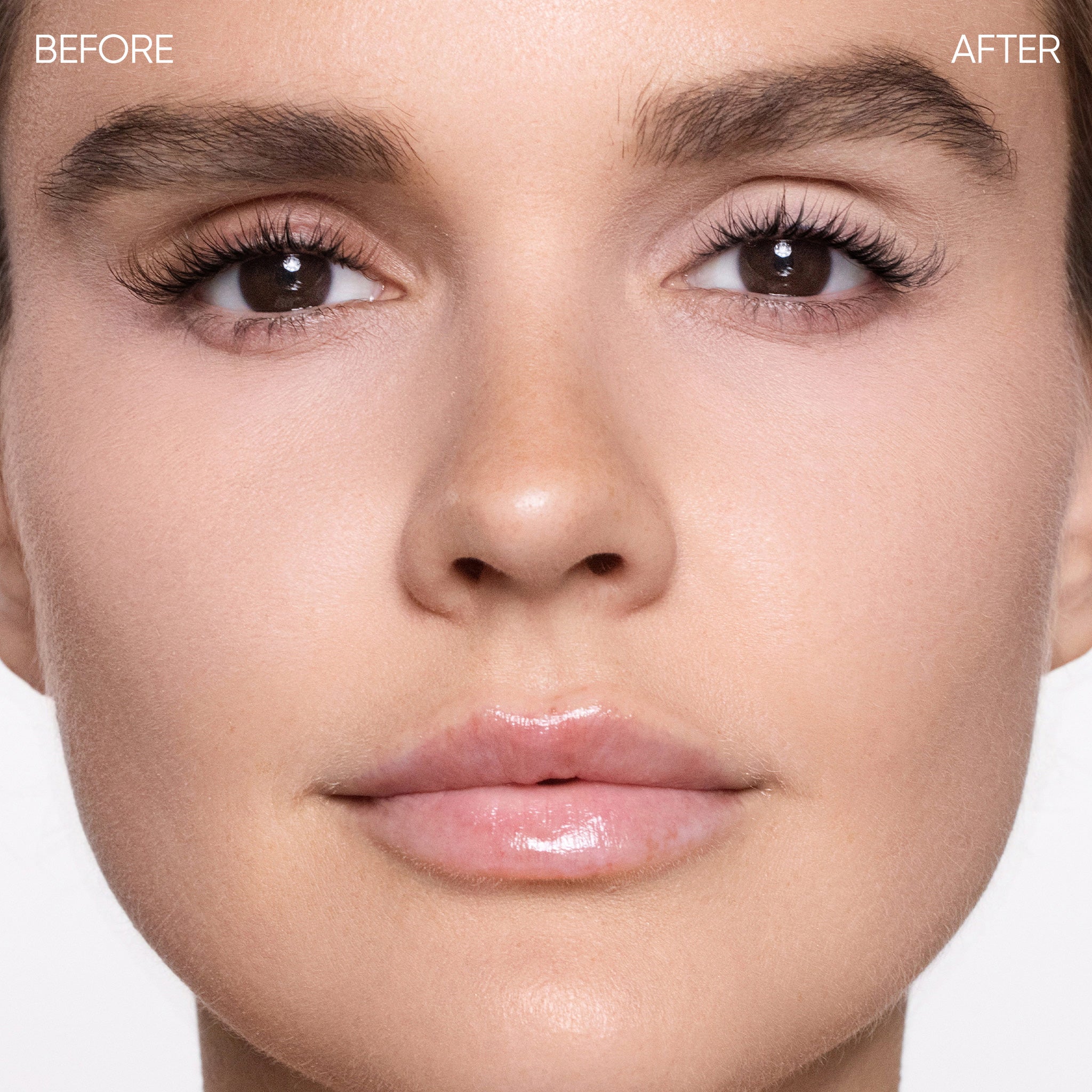 Eye Base Essentials - Image 13